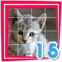 Cat 15