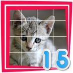 Cat 15