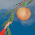 Meyve Toplama (3D) - Çocuklar 