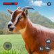 Animal Simulator Goat Game 3d