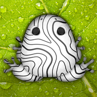 Pocket Frogs: Tiny Pond Keeper