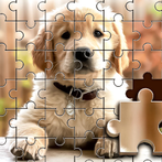 IGC Picture Mind Puzzle