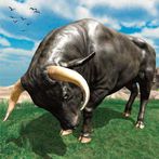 Bull Fighting Game Simulator