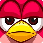 Kooky Bird