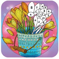 Daily Color - Paint by Number