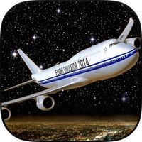 Flight Simulator Night NY HD