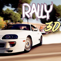 Rally Racing 3D