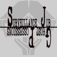 Surveillance Job