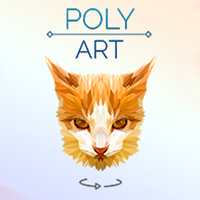 Poly Art