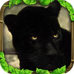 Panther Simulator