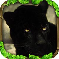 Panther Simulator