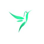Birds Quiz