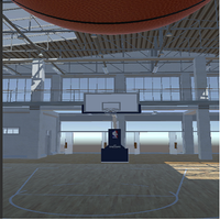 Crazy Basketball Shooter