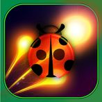 Bug Frenzy: Zero Ads Casual