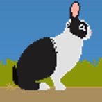 Dat bunny !