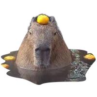 Run Capybara