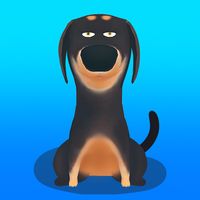 Dachshund