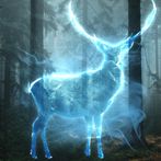 Young wizard - Quest