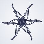 Rosette and Words