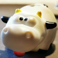 Rich Cow