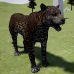 Happy Leopard Simulator