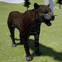 Happy Leopard Simulator