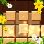 Block Puzzle Wood