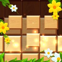 Block Puzzle Wood