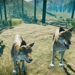 Forest Hunting