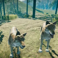 Forest Hunting