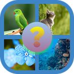 4 imágenes 1 palabra