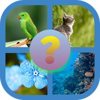 4 imágenes 1 palabra