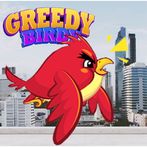greedy birdy