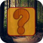 Jigsaw Combination Puzzle 2021