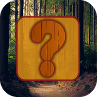 Jigsaw Combination Puzzle 2021