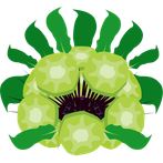 Uniccoli and blue carbon