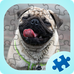 Pugs jigsaw puzzles games