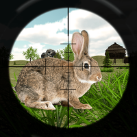 Rabbit Hunting Challenge