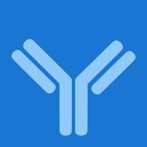 IMMVNI - Pop the invisible ene