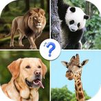 Guess The Animal: Animals Quiz