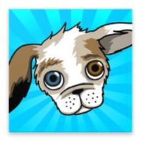 Bouncy's You Can Learn