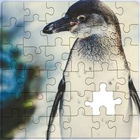 Rompecabezas de Pinguinos