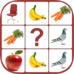 picture match memory game