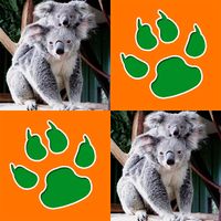 Animals Memory Game