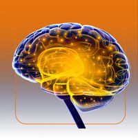 Brain+ Gym: Train Your Mind