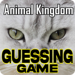Animal Kingdom Guessing Game