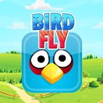 Bird Fly