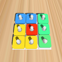 Pin Puzzle 3D