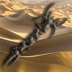 Shai-Hulud
