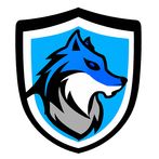 Bluewolf Racing The Blockchain